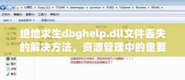 绝地求生dbghelp.dll文件丢失的解决方法，资源管理中的重要性、策略与应对