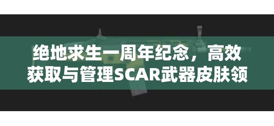 绝地求生一周年纪念，高效获取与管理SCAR武器皮肤领取全攻略