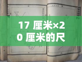 17 厘米×20 厘米的尺寸相关创意