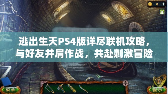 逃出生天PS4版详尽联机攻略，与好友并肩作战，共赴刺激冒险之旅