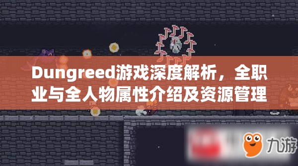 Dungreed游戏深度解析，全职业与全人物属性介绍及资源管理艺术探讨