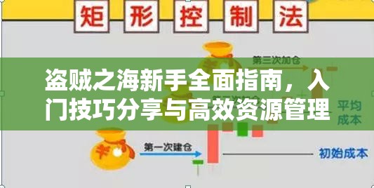 盗贼之海新手全面指南，入门技巧分享与高效资源管理策略