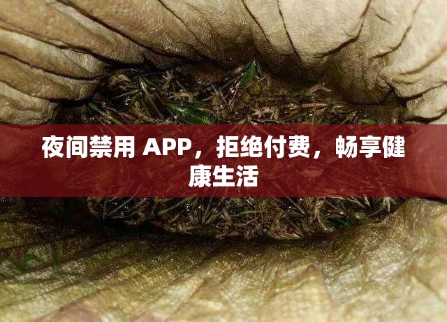 夜间禁用 APP，拒绝付费，畅享健康生活