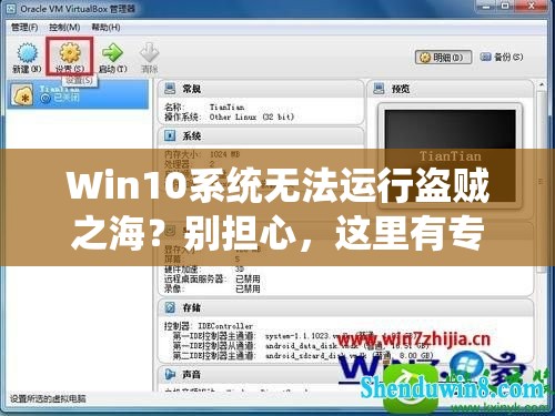 Win10系统无法运行盗贼之海？别担心，这里有专业解决方案助你畅玩！