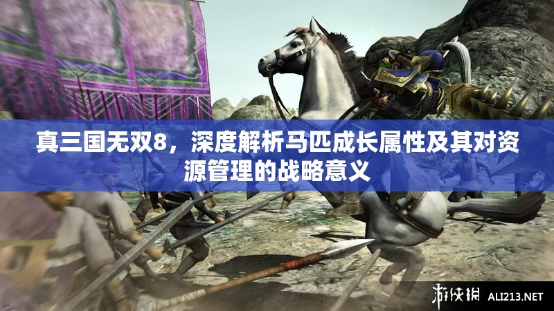 真三国无双8，深度解析马匹成长属性及其对资源管理的战略意义