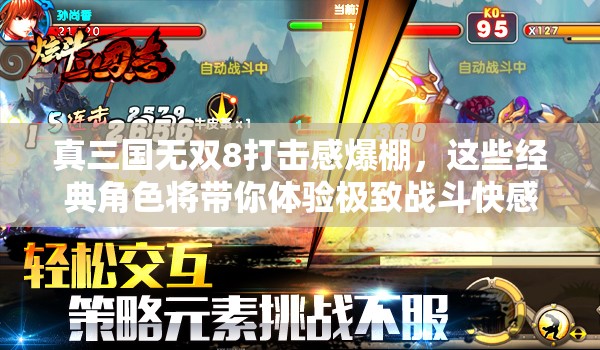 真三国无双8打击感爆棚，这些经典角色将带你体验极致战斗快感！