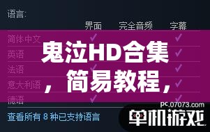 鬼泣HD合集，简易教程，快速设置游戏内中文字体与字幕