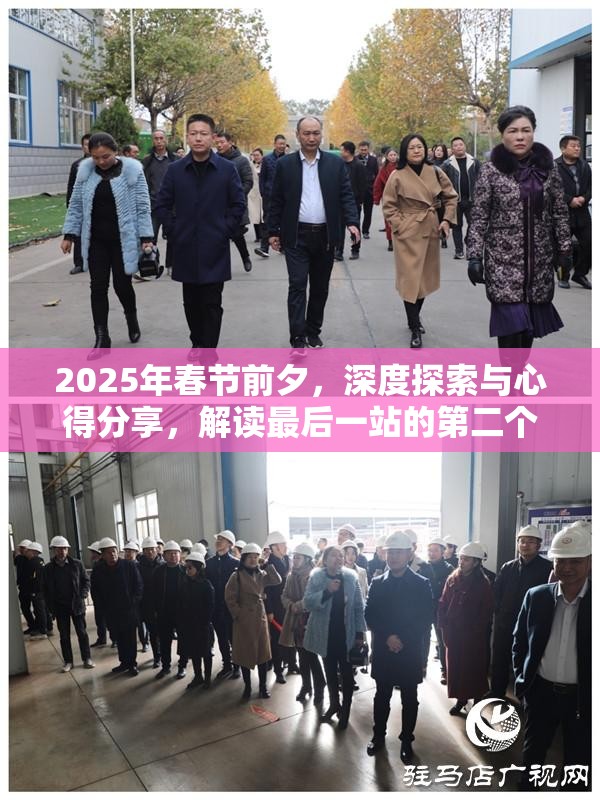 2025年春节前夕，深度探索与心得分享，解读最后一站的第二个结局