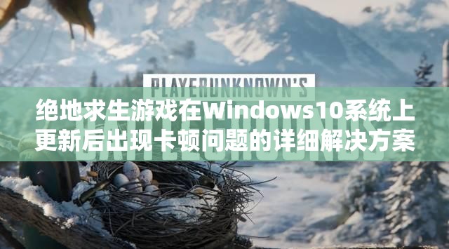 绝地求生游戏在Windows10系统上更新后出现卡顿问题的详细解决方案