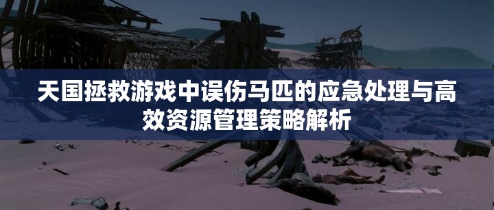 天国拯救游戏中误伤马匹的应急处理与高效资源管理策略解析