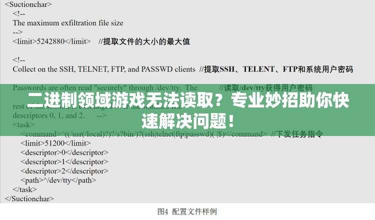 二进制领域游戏无法读取？专业妙招助你快速解决问题！