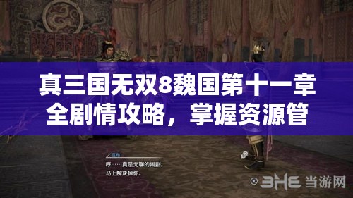 真三国无双8魏国第十一章全剧情攻略，掌握资源管理艺术，迎接崭新的时代