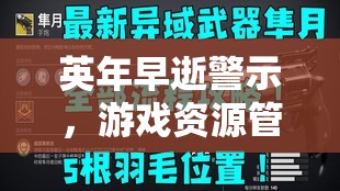 英年早逝警示，游戏资源管理中武器及工具的重要性、高效技巧与防浪费策略