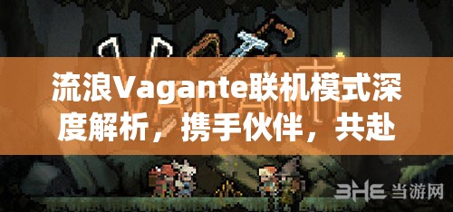 流浪Vagante联机模式深度解析，携手伙伴，共赴末日生存冒险之旅