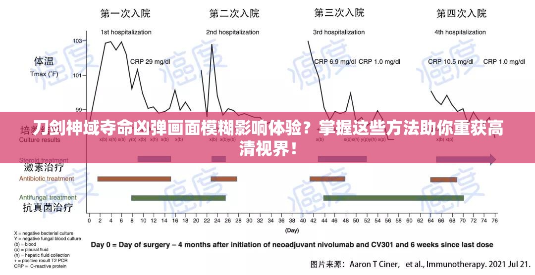 刀剑神域夺命凶弹画面模糊影响体验？掌握这些方法助你重获高清视界！