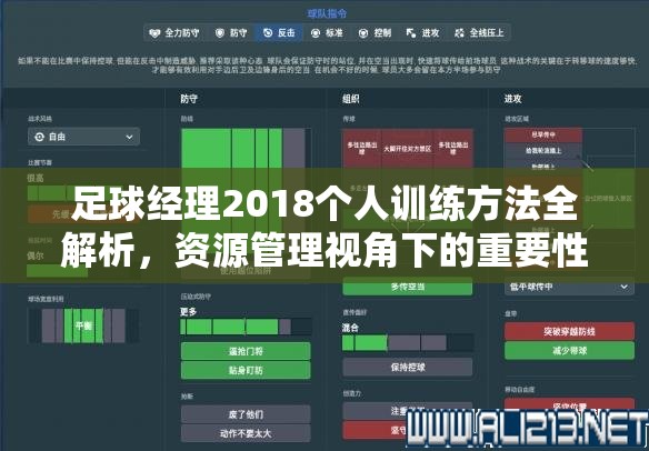 足球经理2018个人训练方法全解析，资源管理视角下的重要性及高效实施策略