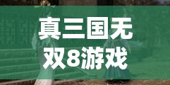 真三国无双8游戏攻略，十万人奖杯解锁秘籍与速通技巧大揭秘