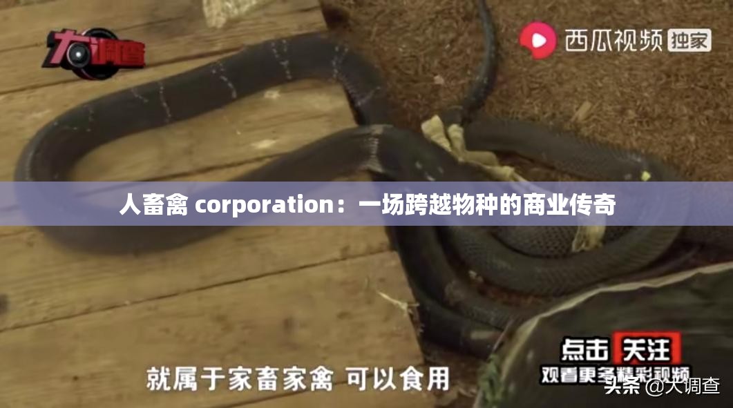 人畜禽 corporation：一场跨越物种的商业传奇