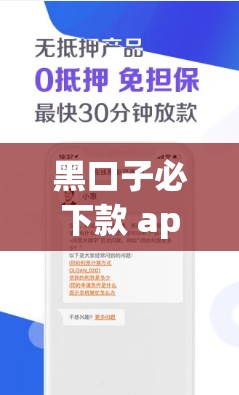 黑口子必下款 app2024：无视黑白，快速到账