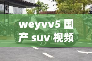 weyvv5 国产 suv 视频：国货之光，品质之选