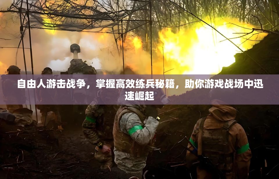 自由人游击战争，掌握高效练兵秘籍，助你游戏战场中迅速崛起