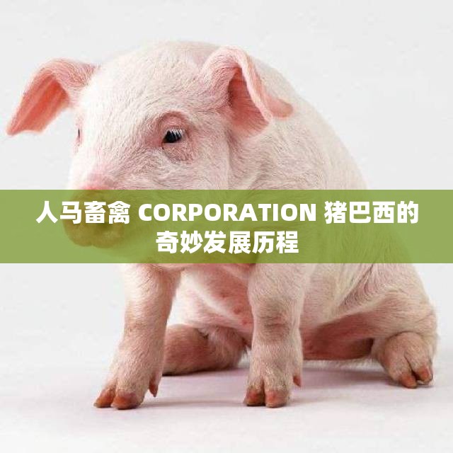 人马畜禽 CORPORATION 猪巴西的奇妙发展历程