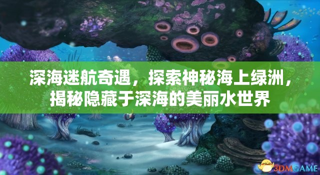 深海迷航奇遇，探索神秘海上绿洲，揭秘隐藏于深海的美丽水世界