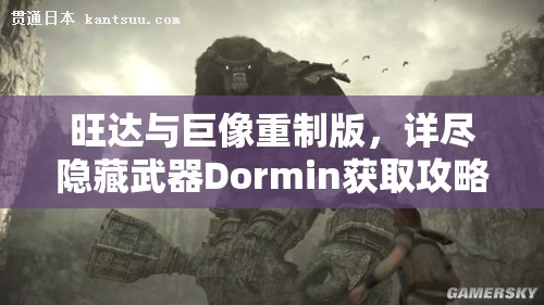 旺达与巨像重制版，详尽隐藏武器Dormin获取攻略及价值最大化利用