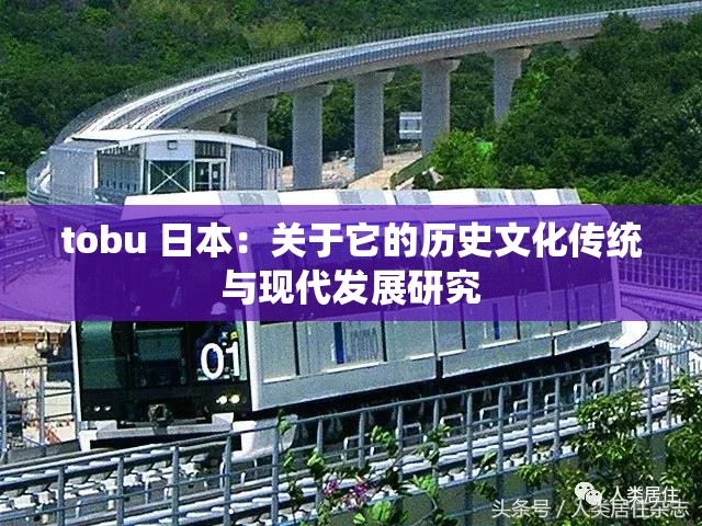 tobu 日本：关于它的历史文化传统与现代发展研究