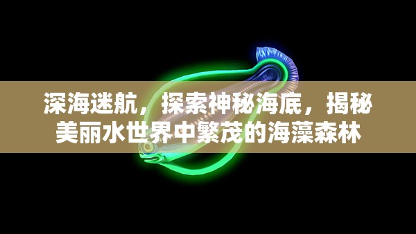 深海迷航，探索神秘海底，揭秘美丽水世界中繁茂的海藻森林