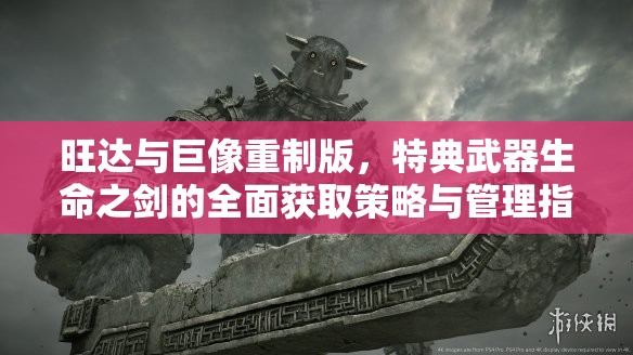 旺达与巨像重制版，特典武器生命之剑的全面获取策略与管理指南