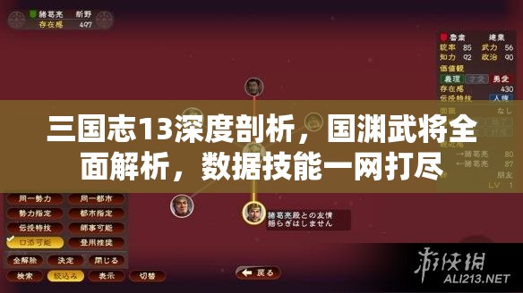 三国志13深度剖析，国渊武将全面解析，数据技能一网打尽