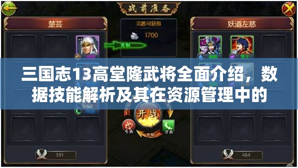 三国志13高堂隆武将全面介绍，数据技能解析及其在资源管理中的战略地位