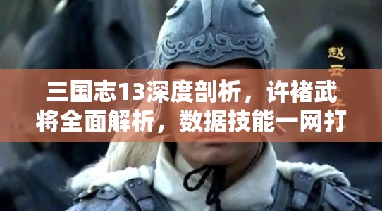 三国志13深度剖析，许褚武将全面解析，数据技能一网打尽