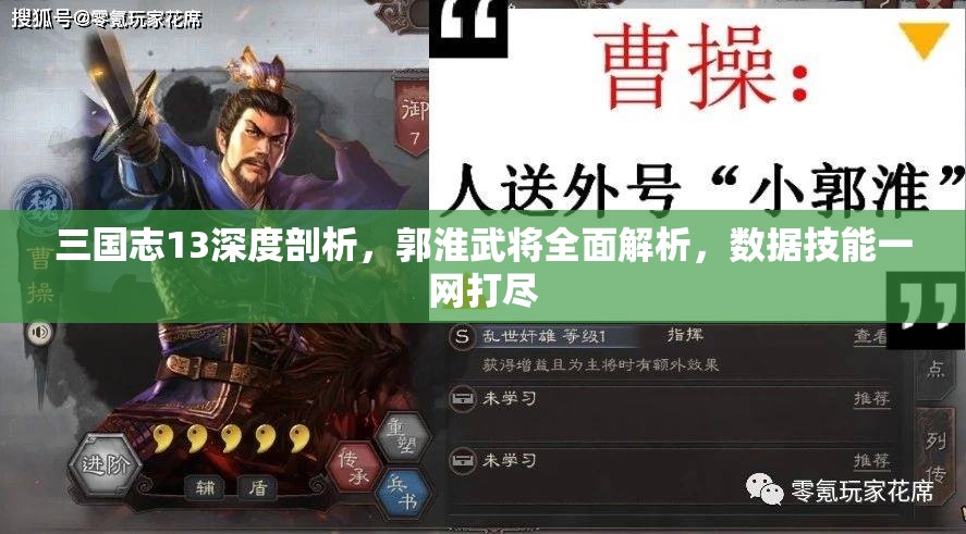 三国志13深度剖析，郭淮武将全面解析，数据技能一网打尽