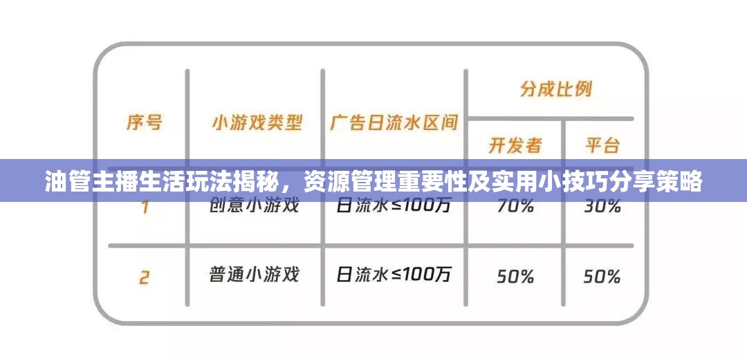 油管主播生活玩法揭秘，资源管理重要性及实用小技巧分享策略