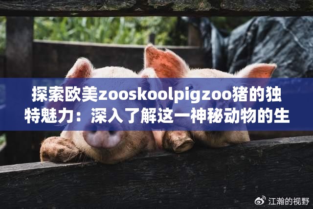 探索欧美zooskoolpigzoo猪的独特魅力：深入了解这一神秘动物的生活习性与文化背景