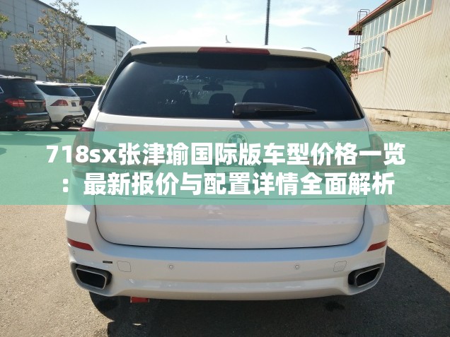 718sx张津瑜国际版车型价格一览：最新报价与配置详情全面解析