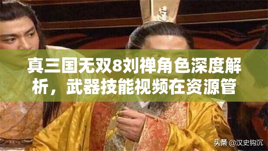 真三国无双8刘禅角色深度解析，武器技能视频在资源管理中的核心价值与高效运用策略