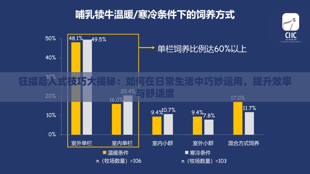 狂插后入式技巧大揭秘：如何在日常生活中巧妙运用，提升效率与舒适度