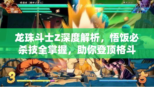 龙珠斗士Z深度解析，悟饭必杀技全掌握，助你登顶格斗之王宝座