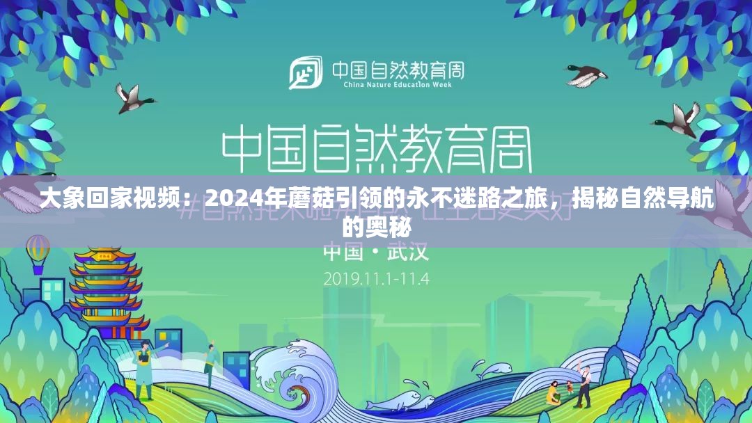 大象回家视频：2024年蘑菇引领的永不迷路之旅，揭秘自然导航的奥秘