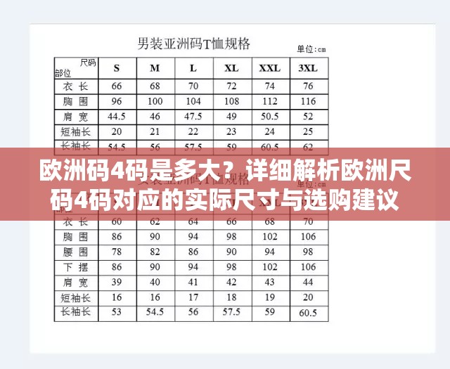 欧洲码4码是多大？详细解析欧洲尺码4码对应的实际尺寸与选购建议