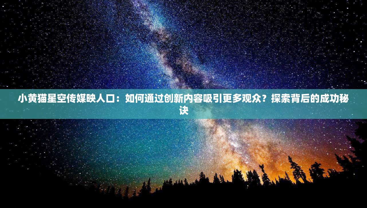 小黄猫星空传媒映人口：如何通过创新内容吸引更多观众？探索背后的成功秘诀