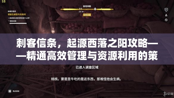 刺客信条，起源西落之阳攻略——精通高效管理与资源利用的策略艺术