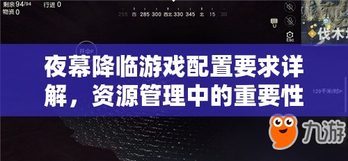 夜幕降临游戏配置要求详解，资源管理中的重要性、优化策略与实践指南