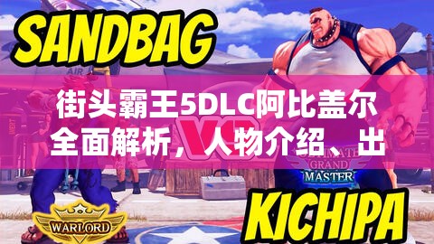 街头霸王5DLC阿比盖尔全面解析，人物介绍、出招表、资源管理技巧及价值最大化