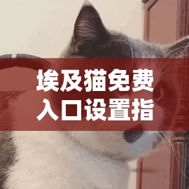 埃及猫免费入口设置指南：轻松掌握步骤，享受便捷访问体验