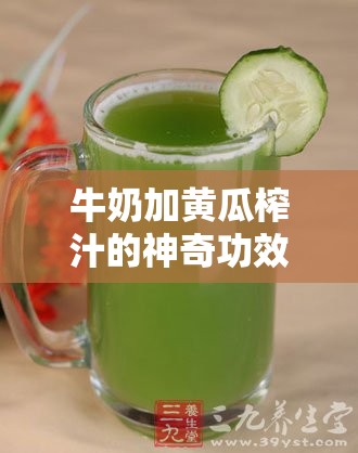 牛奶加黄瓜榨汁的神奇功效：健康美容双效合一的秘密配方解析