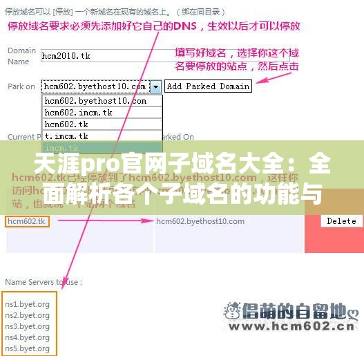 天涯pro官网子域名大全：全面解析各个子域名的功能与使用指南，助你更好地了解平台服务